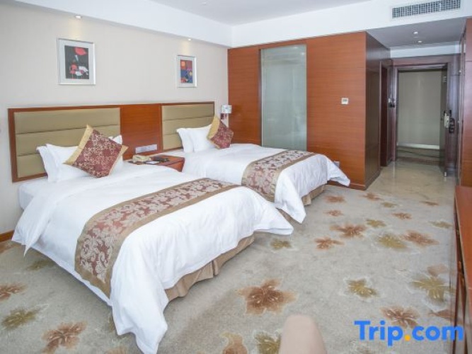 Deluxe Twin room with city view