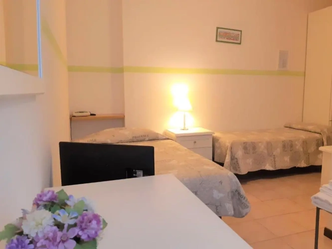 Economy Twin room