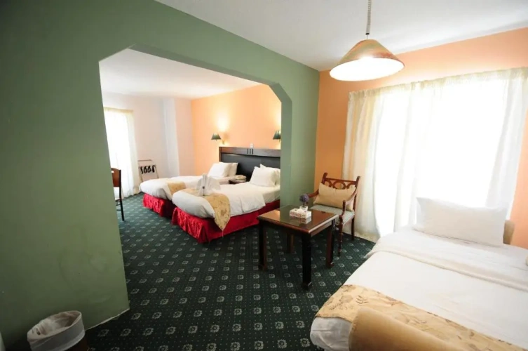 Standard Double room with balcony and with view