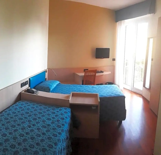 Standard Double room with balcony and with view