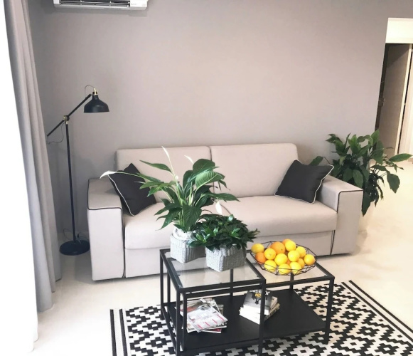 Apartment Andrea L Pula