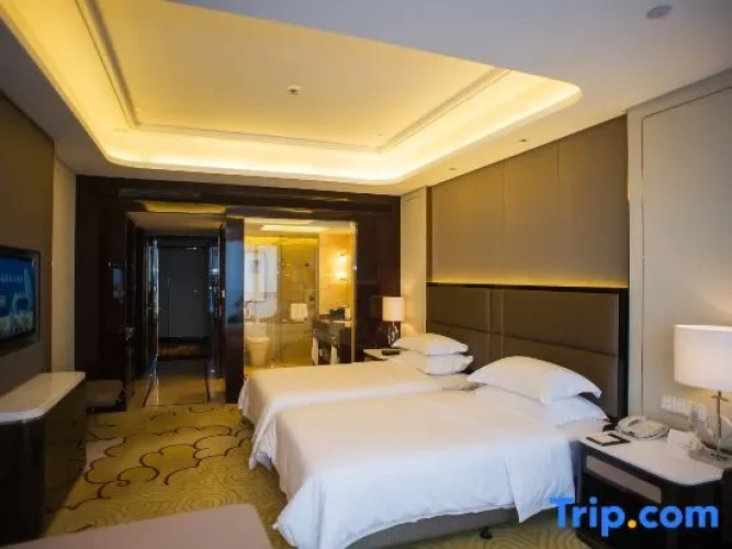 Business Twin room with city view