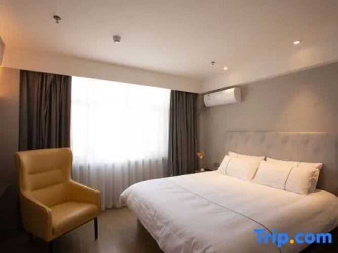 Standard Suite