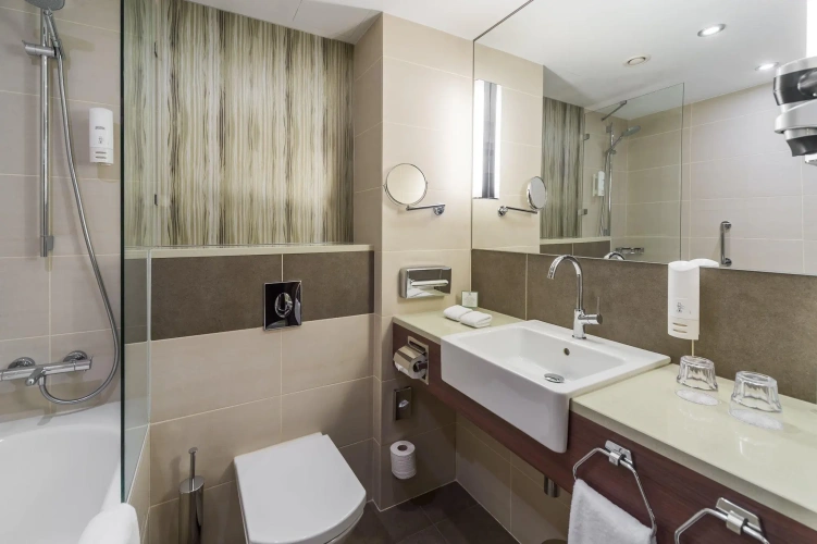 Standard Double room with city view