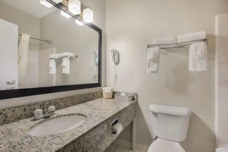 Quadruple Suite
