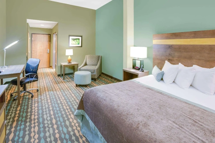 Standard Double room