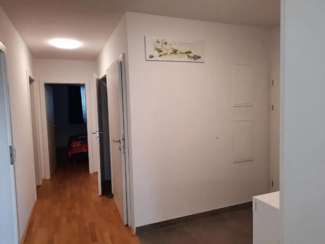 Vienna Lion Apartment