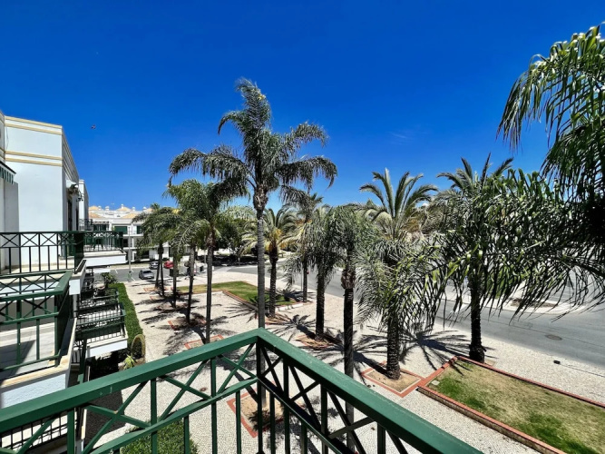 Tavira Palm Tree by Homing