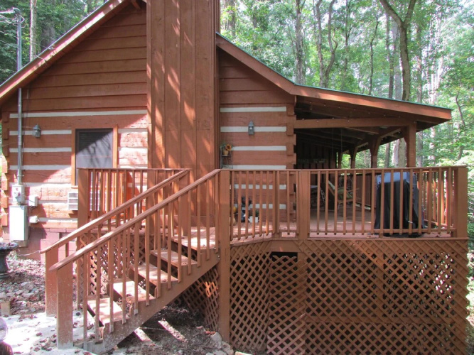 Bear View
