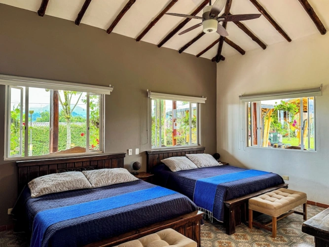 Standard Quadruple Family room with garden view