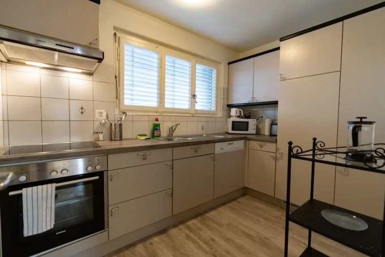 2 Bedrooms Standard Apartment with balcony and with mountain view