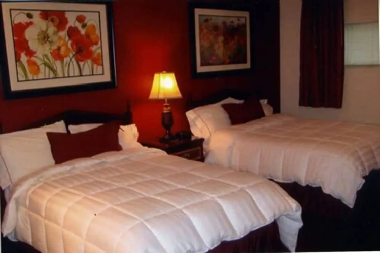 1 Bedroom Suite