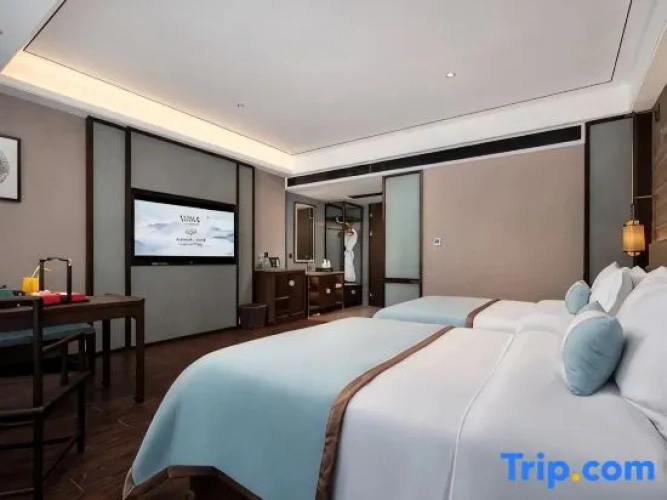 Standard Twin Family room