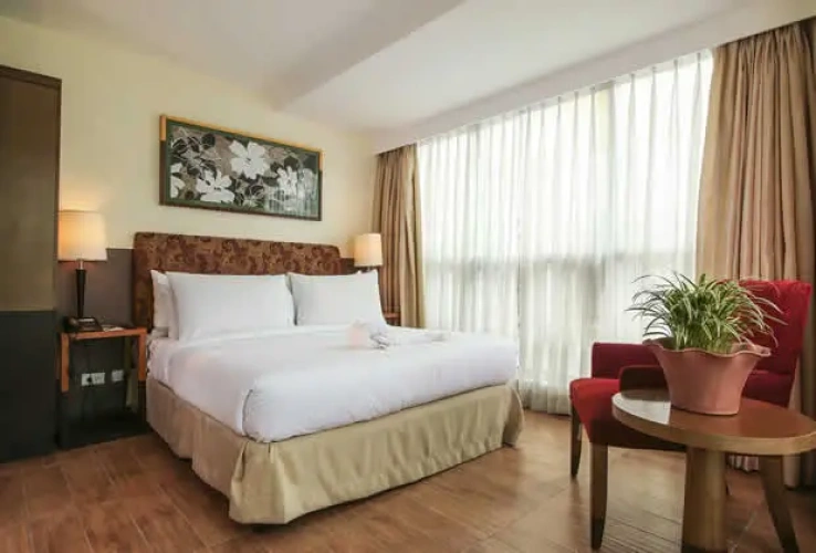 1 Bedroom Suite