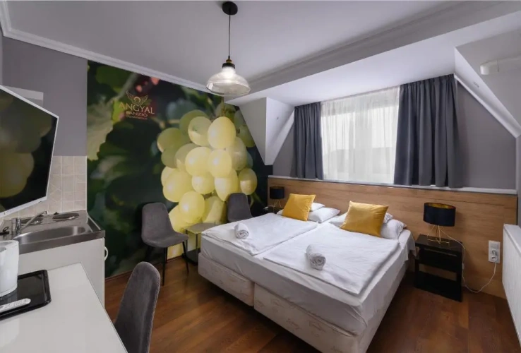 Standard Double room