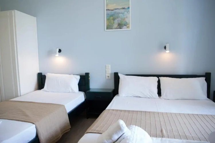 Standard Double room with garden view