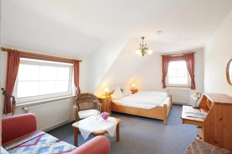 Standard Double room with mountain view