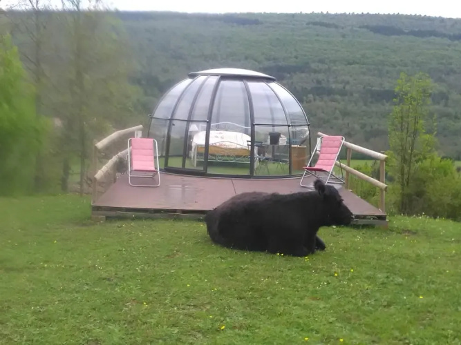 Ferme des Baillards