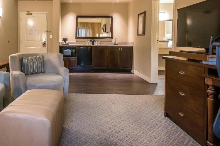 1 Bedroom Suite