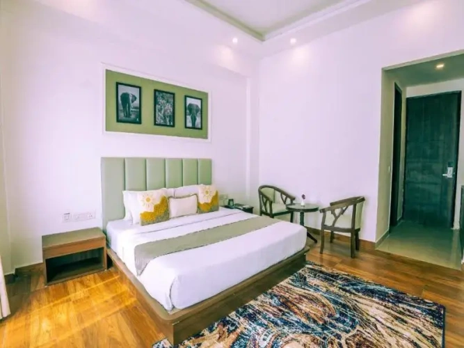 Deluxe Double room with balcony and with garden view