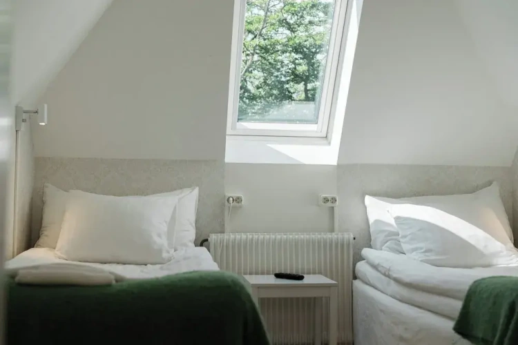 Economy Twin room