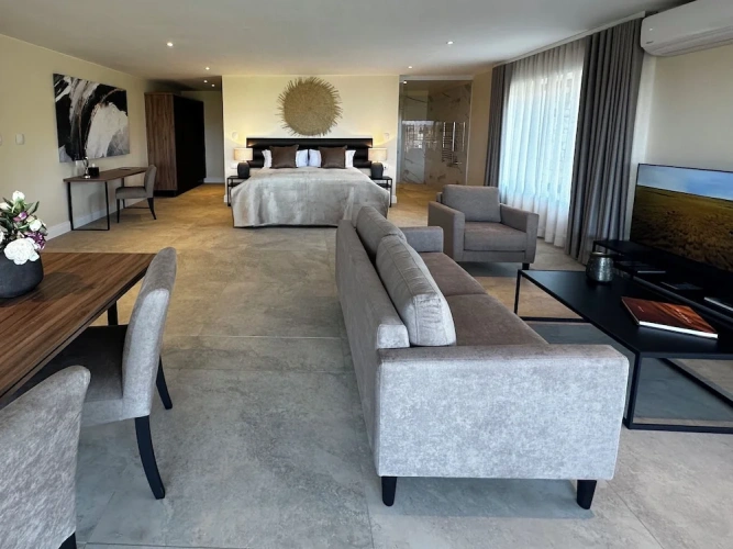 Deluxe Apartment