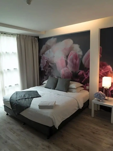 Deluxe Double room with street view