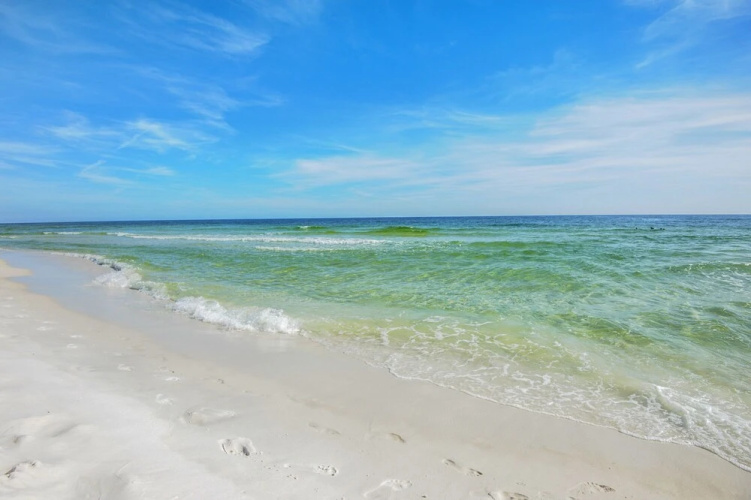 Sea Dunes 501