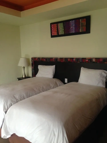 1 Bedroom Deluxe Apartment with city view
