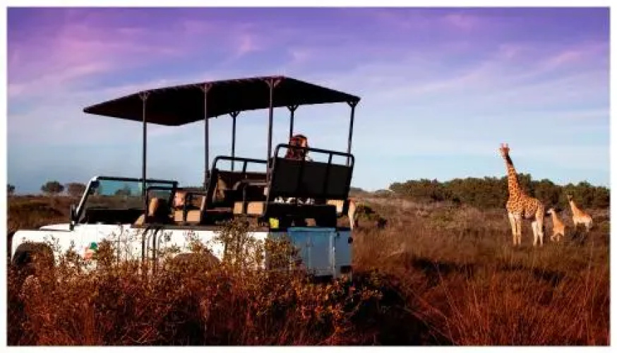 Thali Thali Game Lodge