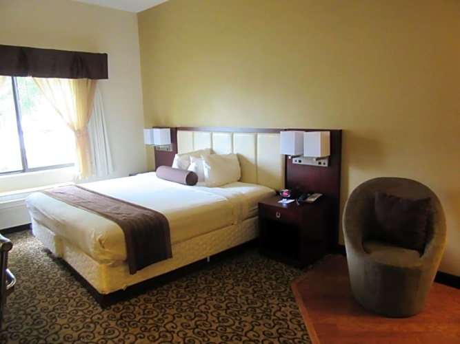 Double Studio Suite