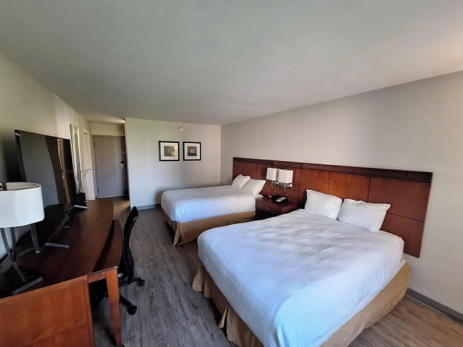 Premier Double room