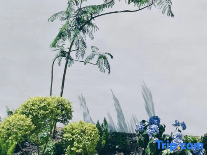 Outside