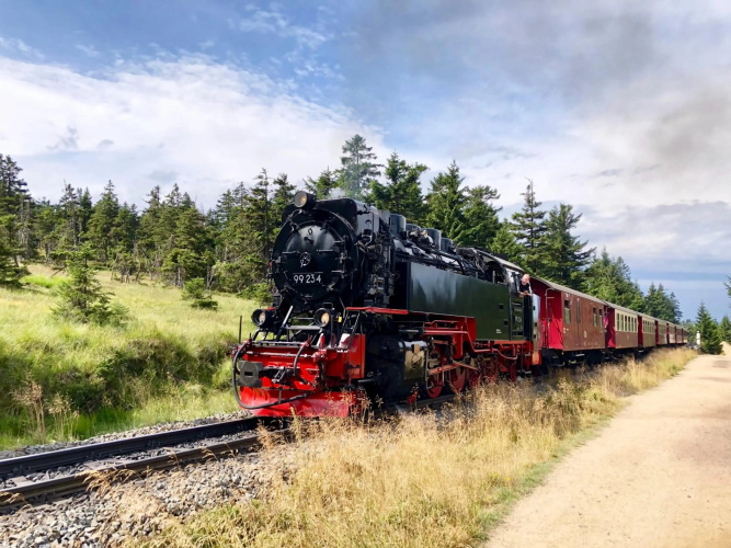 TraumFeWo in Wernigerode mit Schlossblick in der City