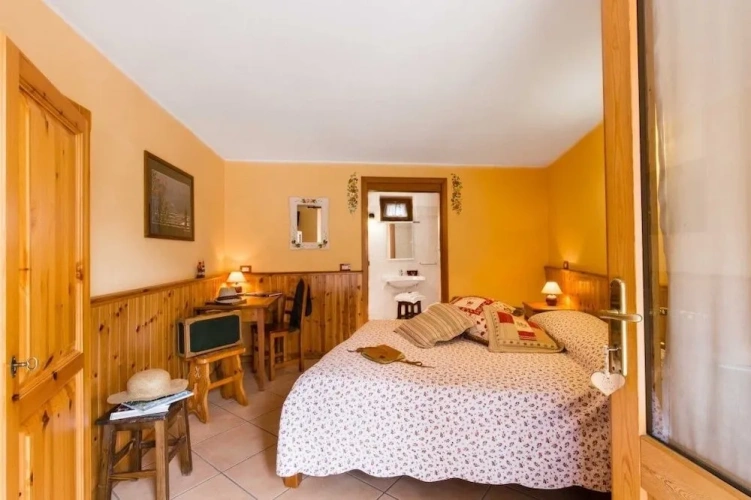 Standard Double room with mountain view