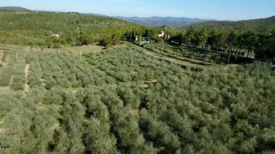 Podere Sagna