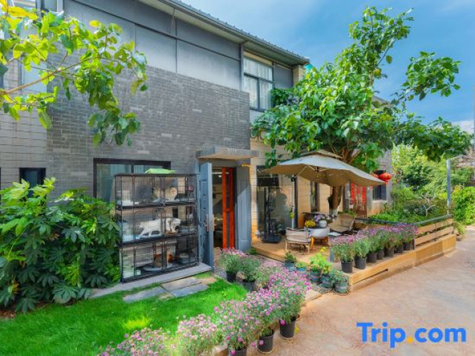 Twilight Light Collection Homestay