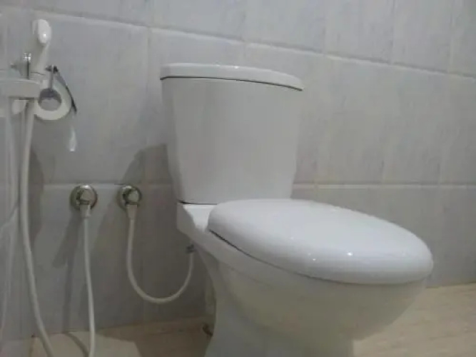 Homely Guest