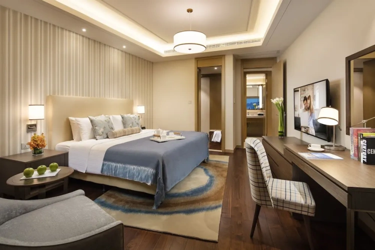 1 Bedroom Premier Apartment