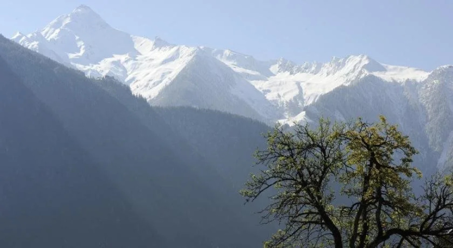 Oberstockach Hof