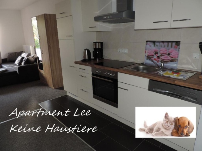 Double Apartment
