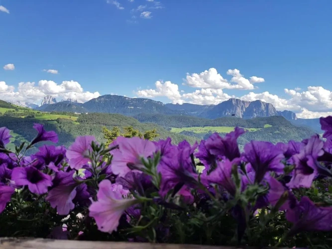Apartment with mountain view