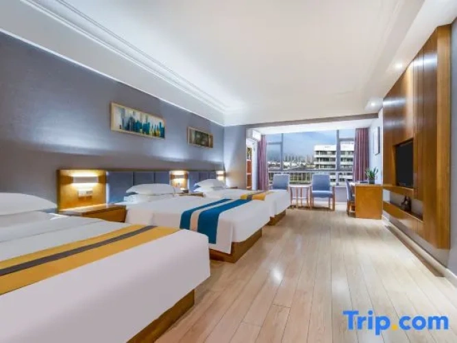 Standard Triple room with view