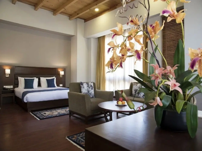 Deluxe Double room