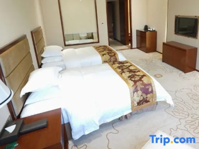 Executive Twin room