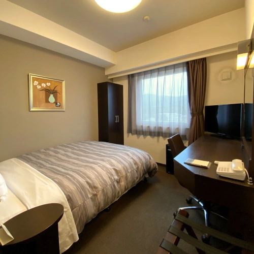Comfort Single room