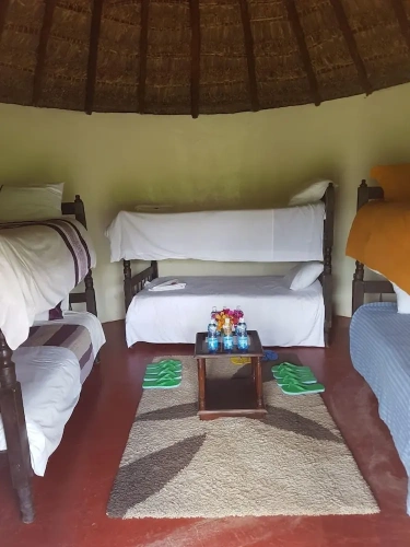 Bed in Dorm