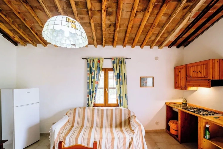 Classic Double Apartment with park view