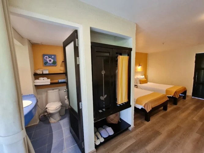 Deluxe Double room with balcony