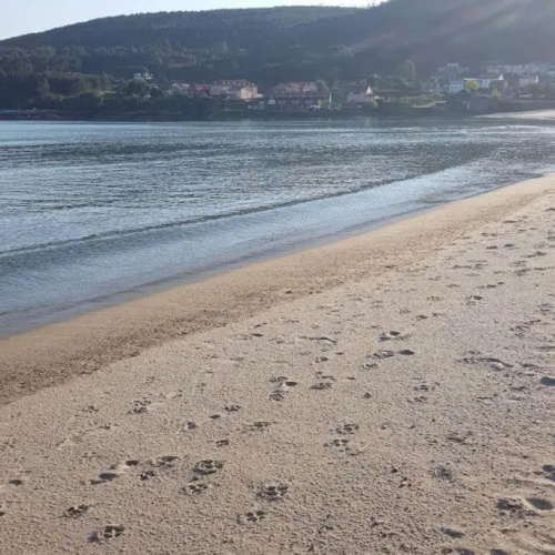 Apartamento Finisterra